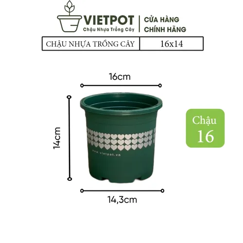 🌸Chậu Nhựa Trồng Hoa Cao Cấp | Nhựa Bền Màu, Thiết Kế Tinh Tế.