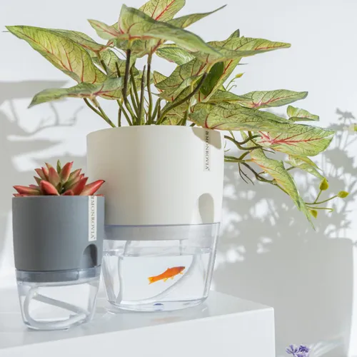 🌱Chậu nhựa trồng cây tự tưới MONROVIA – Sang trọng, tiện lợi- chuẩn Châu Âu.