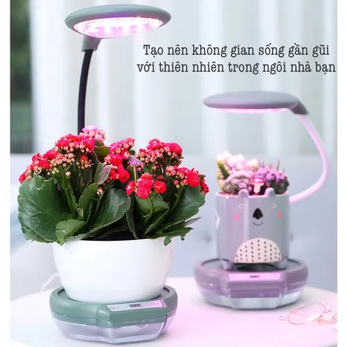 💡 Chậu Trồng Cây Thông Minh – Có Đèn Chiếu Sáng Quang Hợp Cho Cây.