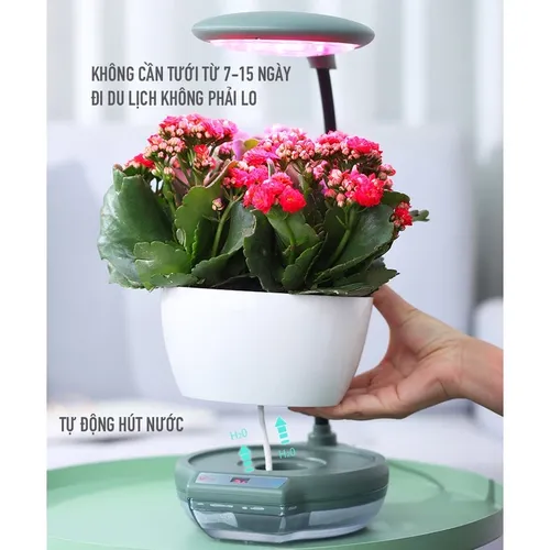 💡 Chậu Trồng Cây Thông Minh – Có Đèn Chiếu Sáng Quang Hợp Cho Cây.