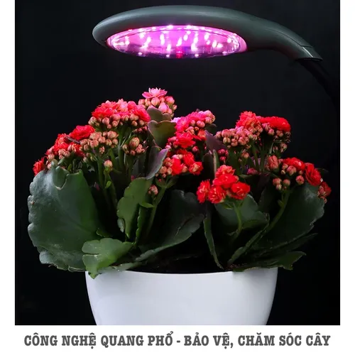 💡 Chậu Trồng Cây Thông Minh – Có Đèn Chiếu Sáng Quang Hợp Cho Cây.
