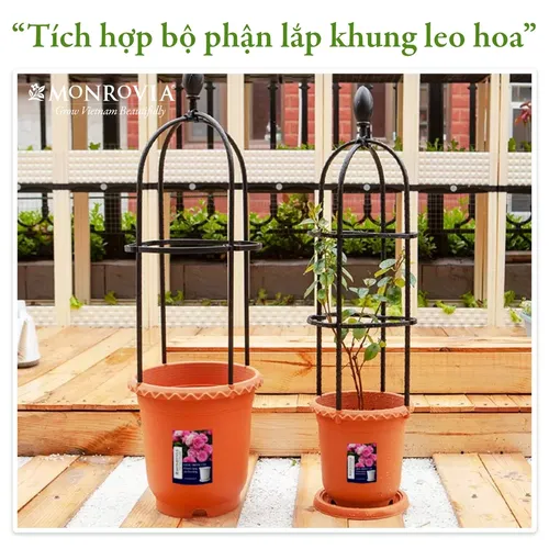 🌺 Chậu Nhựa Tròn: Lựa Chọn Hoàn Hảo Cho Khu Vườn Xinh Của Bạn.