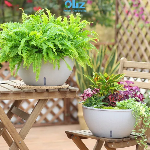 🌻 Chậu Trồng Cây Thông Minh – Giúp Bạn Trồng Cây Mà Không Lo Quên Tưới.