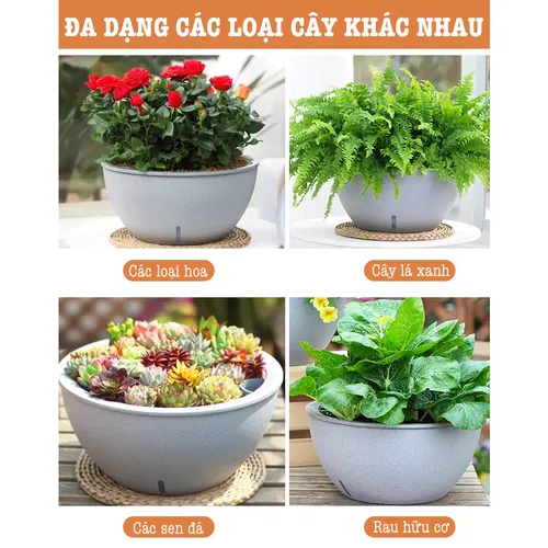 🌻 Chậu Trồng Cây Thông Minh – Giúp Bạn Trồng Cây Mà Không Lo Quên Tưới.