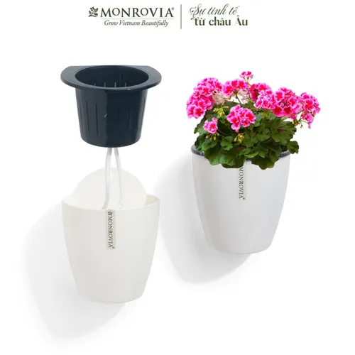 Chậu Treo Ban Công MONROVIA Xinh Xắn - Tô Điểm Không Gian Sống Của Bạn.