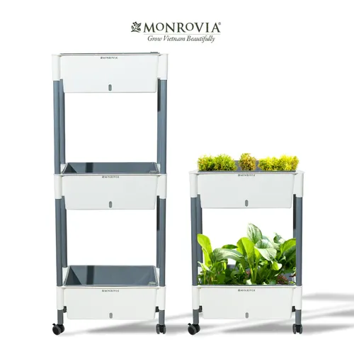 Kệ Trồng Rau Sân Thượng Thông Minh – Vườn Rau Xanh Ngay Tại Nhà Bạn.