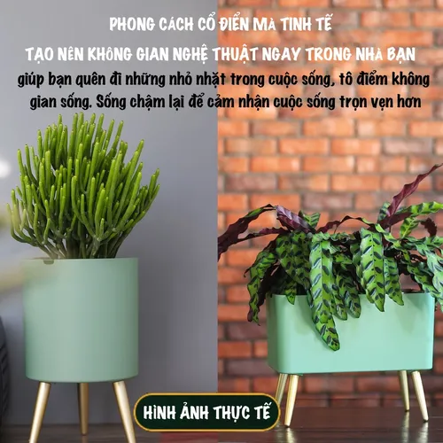 🌞 Chậu Trồng Cây Thông Minh – Tiết Kiệm Thời Gian, Có Chuông Báo Khi Cây Thiếu Nước.