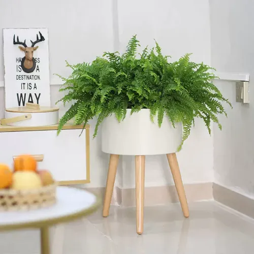 🌱 Chậu Trồng Cây Thông Minh Tự Tưới – Tiện Lợi- Có Chuông Báo Khi Cây Thiếu Nước.