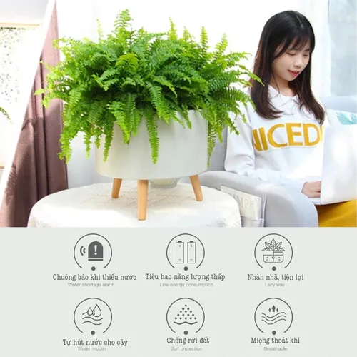 🌱 Chậu Trồng Cây Thông Minh Tự Tưới – Tiện Lợi- Có Chuông Báo Khi Cây Thiếu Nước.