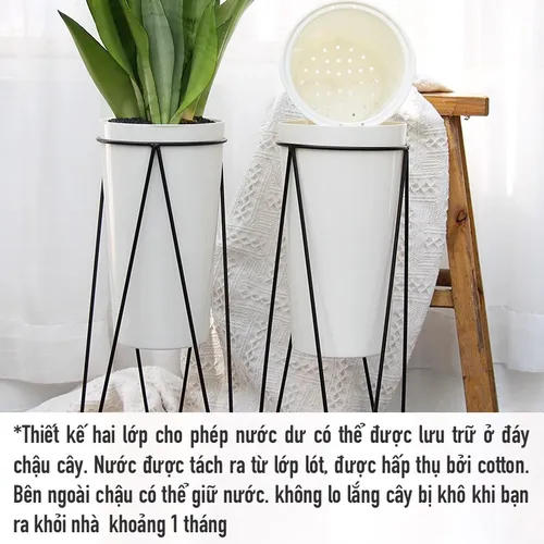 🌱 Chậu Trồng Cây Nhựa Cao Cấp | Nhựa Dẻo Dai, Thiết Kế Thông Minh.