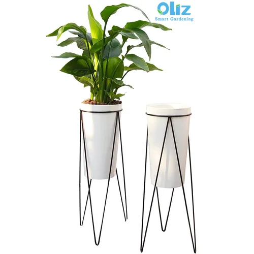 🌱 Chậu Trồng Cây Nhựa Cao Cấp | Nhựa Dẻo Dai, Thiết Kế Thông Minh.