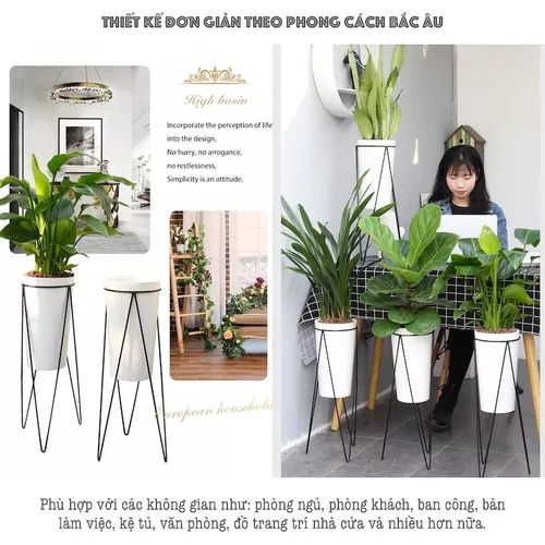🌱 Chậu Trồng Cây Nhựa Cao Cấp | Nhựa Dẻo Dai, Thiết Kế Thông Minh.