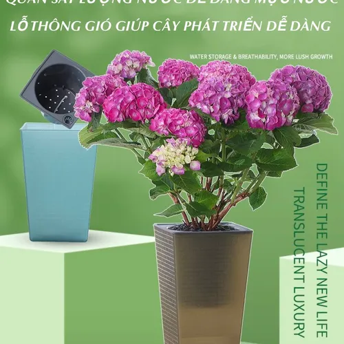 🌱 Chậu Trồng Cây Thông Minh Tự Tưới | Chăm Sóc Cây Nhàn Tênh!
