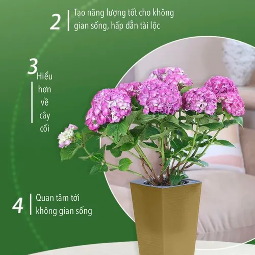 🌱 Chậu Trồng Cây Thông Minh Tự Tưới | Chăm Sóc Cây Nhàn Tênh!