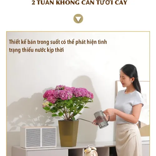 🌱 Chậu Trồng Cây Thông Minh Tự Tưới | Chăm Sóc Cây Nhàn Tênh!