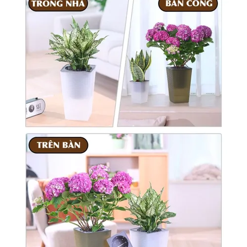 🌱 Chậu Trồng Cây Thông Minh Tự Tưới | Chăm Sóc Cây Nhàn Tênh!