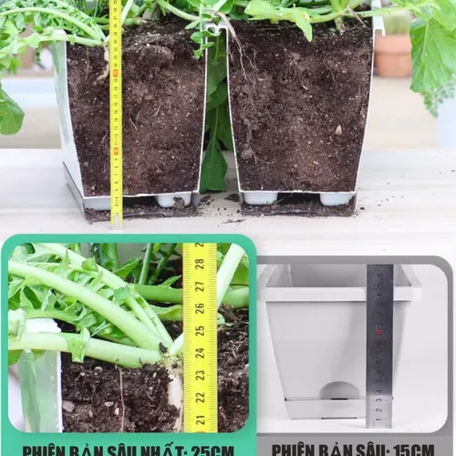 🌿Chậu Trồng Rau Thông Minh: Rau Sạch Tại Nhà, Siêu Tiện Lợi!