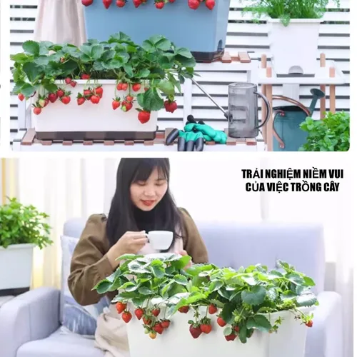 🌿Chậu Trồng Rau Thông Minh: Rau Sạch Tại Nhà, Siêu Tiện Lợi!