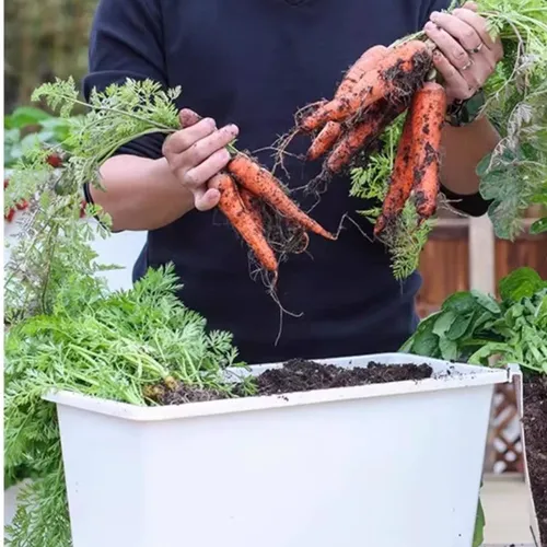 🌿Chậu Trồng Rau Thông Minh: Rau Sạch Tại Nhà, Siêu Tiện Lợi!