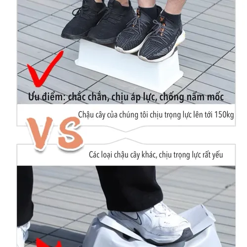 🌿Chậu Trồng Rau Thông Minh: Rau Sạch Tại Nhà, Siêu Tiện Lợi!