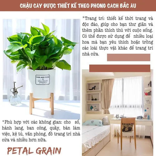 🌺 Chậu Nhựa Trồng Cây Thông Minh Oliz TA0: Thoát Nước Tốt, Giữ Ẩm Hiệu Quả.