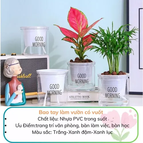 🌿 Chậu Trồng Cây Thuỷ sinh Đẹp Mê Ly | Trang Trí Bàn Làm Việc.