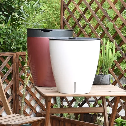 🌞 Chậu Cây Cảnh Đẹp, Thông minh,  Ấn Tượng.