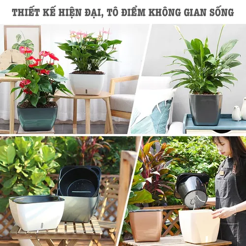 🌿 Chậu Trồng Cây Cảnh Thông Minh - Cho Không Gian Xanh Tiện Lợi.