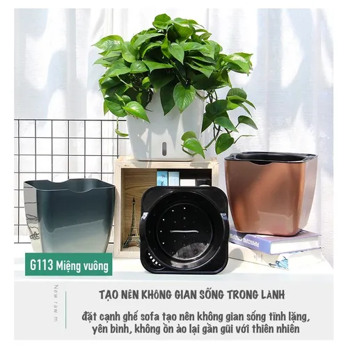 🌿 Chậu Trồng Cây Cảnh Thông Minh - Cho Không Gian Xanh Tiện Lợi.