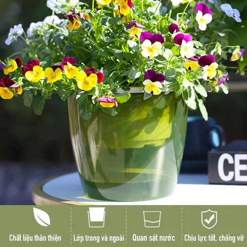 ✨ Chậu cây cảnh để bàn: Trang Trí Bàn Xinh, Thư Giãn Tinh Thần.