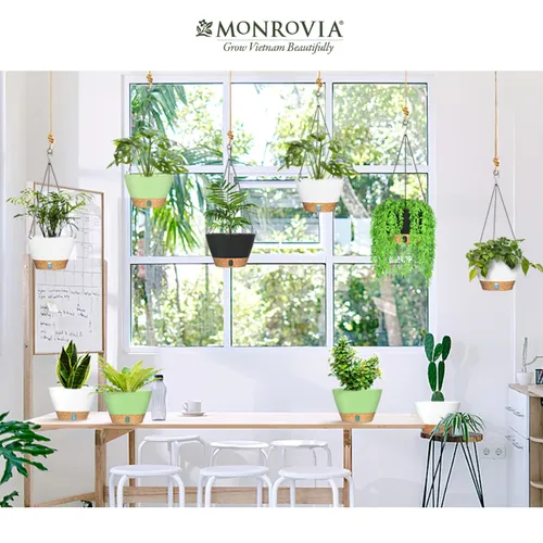 🌸 Chậu Cây Treo Ban Công Đẹp Mê Ly: Biến Ban Công Nhỏ Thành Vườn Xinh.