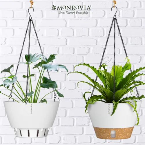 🌸 Chậu Cây Treo Ban Công Đẹp Mê Ly: Biến Ban Công Nhỏ Thành Vườn Xinh.