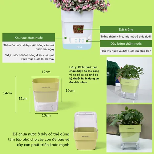 ✨ Combo Chậu Nhựa Nhỏ Xinh Xắn: Trang Trí Góc Yêu Thêm Sinh Động.