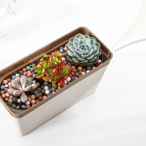 🌷 Combo Chậu Nhựa Trồng Cây Cảnh Thông Minh: Tự Tưới, Thoát Nước Tốt.