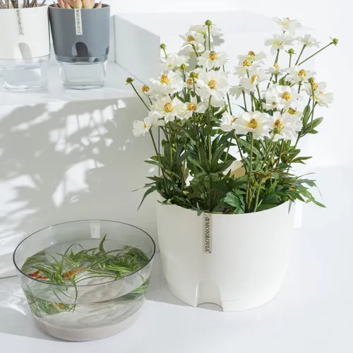 🌱Chậu nhựa trồng cây tự tưới MONROVIA – Sang trọng, tiện lợi- chuẩn Châu Âu.