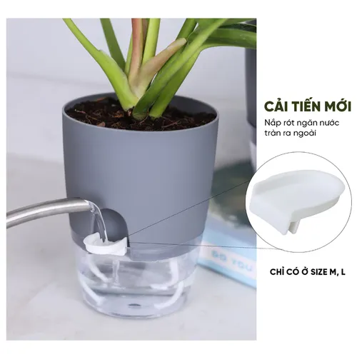 🌱Chậu nhựa trồng cây tự tưới MONROVIA – Sang trọng, tiện lợi- chuẩn Châu Âu.