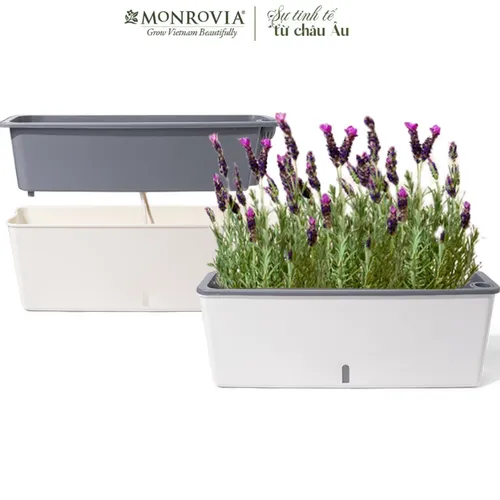 🌿Chậu Trồng Cây Ban Công Cao Cấp- Tự Tưới MONROVIA SC06- Đẹp Mắt, Bền Lâu.