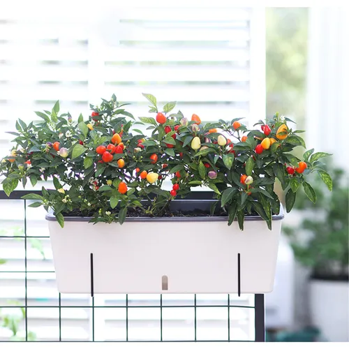 🌿Chậu Trồng Cây Ban Công Cao Cấp- Tự Tưới MONROVIA SC06- Đẹp Mắt, Bền Lâu.