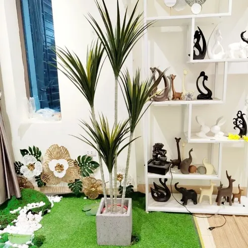 ✨ Cây Phát Tài Núi Giả Phong Thủy: Vẫn Đẹp, Vẫn May Mắn!