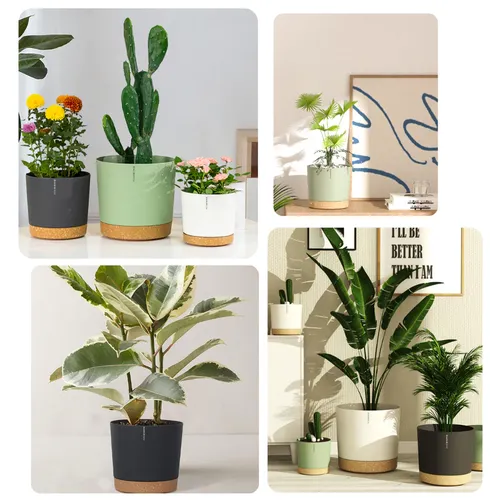 🌞 Chậu Nhựa Trồng Cây Cao Cấp | Nhựa Tốt, Thiết Kế Hiện Đại.