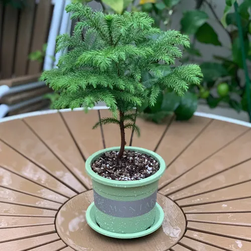 Chậu nhựa trồng cây cảnh VIETPOT xanh Mint MONTARIO – Đẹp hiện đại.