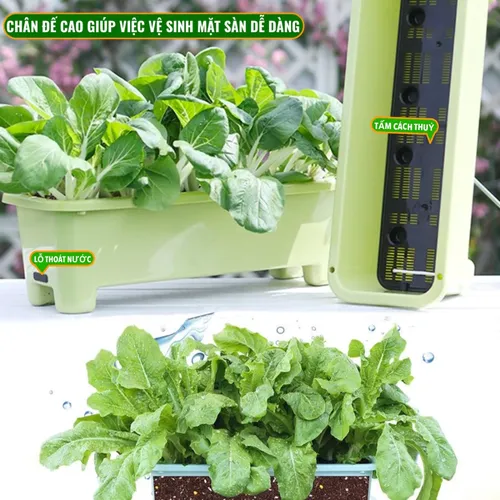 🌱 Chậu Trồng Rau Tự tưới – Dễ Dàng Trồng Rau Tại Nhà.