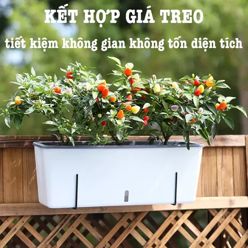 🌿 Chậu Treo Ban Công Thông Minh | Tự Tưới, Chất Liệu Bền Bỉ.