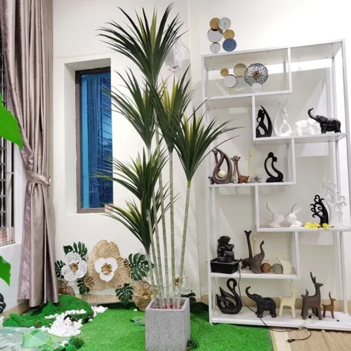 ✨ Cây Phát Tài Núi Giả Phong Thủy: Vẫn Đẹp, Vẫn May Mắn!