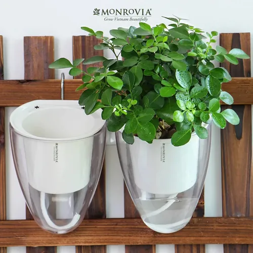 🌸Chậu Ban Công Tự Tưới- K01 MONROVIA- Tô Điểm Không Gian Sống.