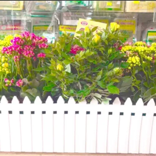 🌿Chậu Trồng Cây Ban Công hàng rào: Biến Lan Can Thành Vườn Hoa Rực Rỡ!