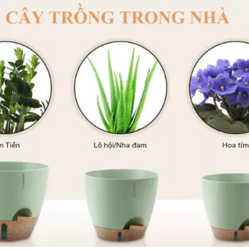 🌶️ Chậu Nhựa Trồng Cây Cảnh Đẹp | Giá Tốt, Nhiều Mẫu Mới Nhất.