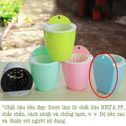 👍 Chậu Treo Tường: Tiết Kiệm Không Gian, Trang Trí Nhà Cực Đẹp.