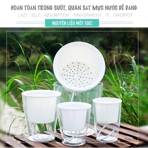 🌿 Chậu Cây Để Bàn Thông Minh – Tự Tưới Nước, Dễ Chăm Sóc.