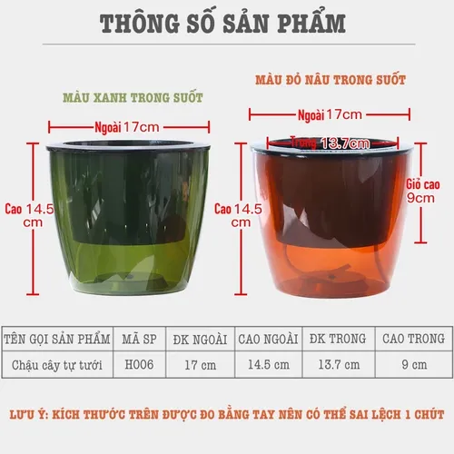 ✨ Chậu cây cảnh để bàn: Trang Trí Bàn Xinh, Thư Giãn Tinh Thần.